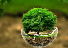 Webinar on flood spreading and its role in improving groundwater resources