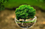 Webinar on flood spreading and its role in improving groundwater resources